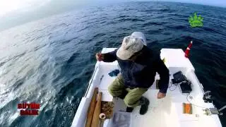 Büyük Balık 1. bölüm - Tanışma Yaban Tv