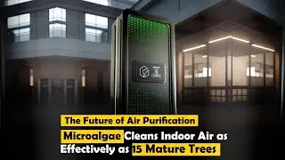 Micro-algae : Purifies Air & Captures CO₂ | ClimateTech Innovation for Sustainable Building Design