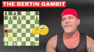 The Bertin Gambit Explained &mdash; #chess #checkmate #chessgame #chessstrategy #chessopening