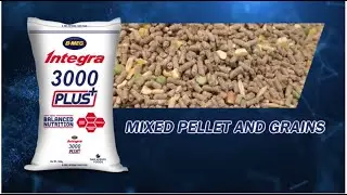 B-MEG INTEGRA 3000 PLUS Mixed Pellet and Grains!