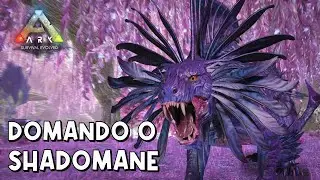Como domar o Shadowmane - ARK:Survival Evolved