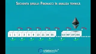 Secvență șir Fibonacci explicată pe analiza tehnică - Trading Pivot, Suport & Rezistență.