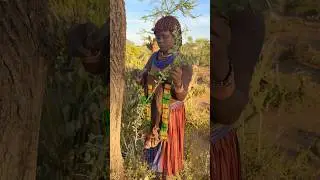 Hamer tribe A young girl from the making miswak #hamer  #tribegirl #tribelife #tribeculture #africa