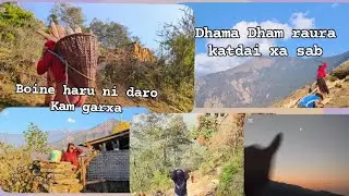 January 25, 2025 daura bokna suru vayo hamro tira mhag lageyo😁