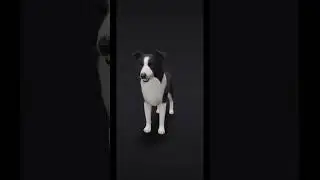3d boder collie