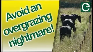 The Biggest Mistakes Made by Horse Owners - Part 1 - (HOW TO AVOID AN OVERGRAZING NIGHTMARE)