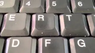 Computer bugs...for reals.