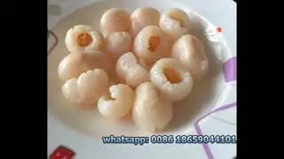 canned food canned lychee from china fresh fruit food
