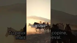 Le cheval ne parle pas&hellip;mais il lit TES &eacute;motions mieux que n&rsquo;importe qui 🐴 #animaux #cheval #nature