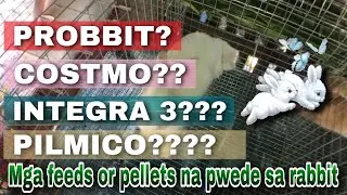 Mga feeds or pellets na pwede ipa kain sa mga alagang rabbit Probbit/Integra3/Costmo/chexers/Pilmico
