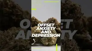 Cross Country Wellness CBD OIL