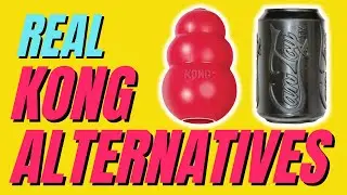 The Best Kong Alternatives: SodaPup Dog Toys for Power Chewers