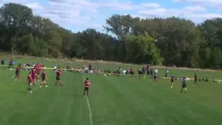 Lewis University Rugby