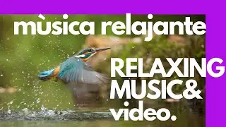 RELAX STUDIO MUSIC / MUSICA Y VIDEO RELAJANTE 3