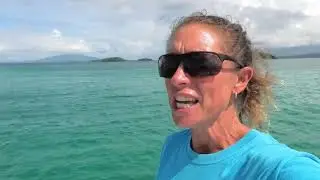 Episode 37 Arnavons, turtles hatching and more
