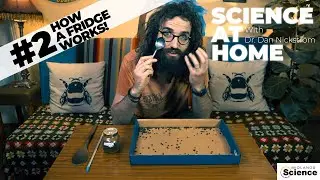 HOW A FRIDGE WORKS - Science at Home - episode 2