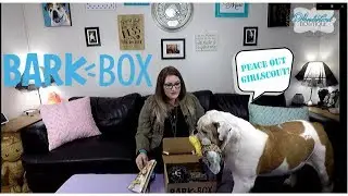 BarkBox Review and Haul-Bulldog Loves His Mail