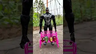 4 Seconds Relax With Venom Spider Team