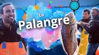 UNE PÊCHE RESPONSABLE🎣💚