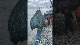 China Amazing Fishing Technique