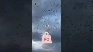 A cloud weight is millions tones😱