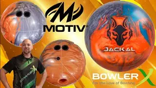 Jackal Flash by Motiv | Full uncut review with commentary