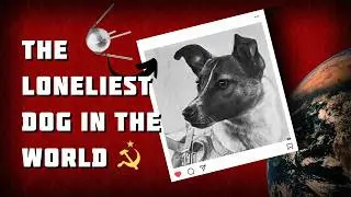 The Sad Story of Laika &ndash; The First Dog in Space&hellip; Alone