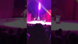 Payasos del panamericano circo en chile