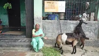 SHOKKHOM 1538 || Project Update 2025 || Sustainable Livelihood Project in Bangladesh