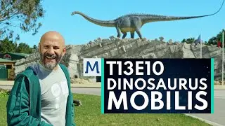 A que velocidade caminha um dinossauro?                    #istoematematica