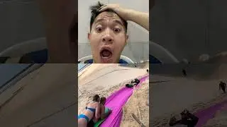How he captured those moments for this couple. #shorts #funny