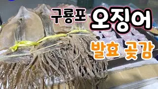 구룡포 마른 오징어! 달콤한 곶감.서리태콩가루?