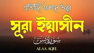 প্রতিদিন সকালে শুনুন – মন জুড়ানো কণ্ঠে সূরা ইয়াসিন | (سورة يس) Surah Yasin | Morning Tilawat