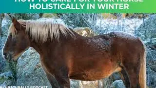 Natural Ways To Help Your Horse In The Winter (Podcast)