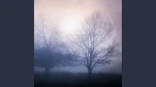 Trapped