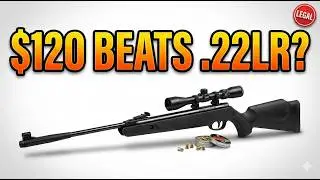 This $120 Amazon Air Gun Hits HARDER Than a .22LR (Legally)