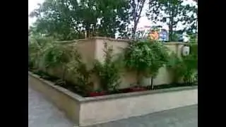 Airport taxi transfers & Apartment rentals in Sunny beach, St.Vlas, Elenite and Sozopol