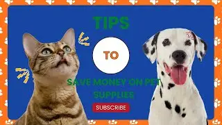 Save Money On Pet Supplies