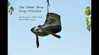 The Other Shoe Drop Practice