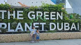 Indoor rainforest experience with kids |#placestovisitindubai #mustvisit #summeractivities #viral 