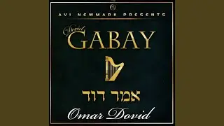 Omar Dovid