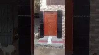 korangi 6 no contact 03132869371 house for sell #youtube #house #karachi #houseforsale