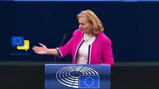 Europe Cannot Survive Without Investment &mdash; No Cuts for Farmers & SMEs! | MEP Maria Grapini