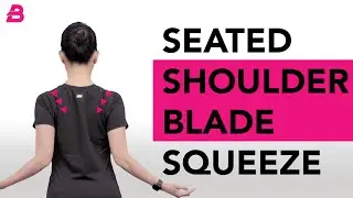 SEATED SHOULDER BLADE SQUEEZE | Exercise Guide | Safe Exercise for Osteoporosis