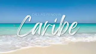 CALL ME PENGUIN - CARIBE (Lyric Video)