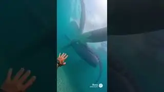 I Didn&rsquo;t Expect This at the Bottom of These Waterslides! (POV)