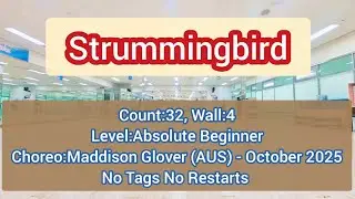 ❣️Demo/Strummingbird #linedance #High #Absolute #Beginner #올림픽공원수영장 #한국스포츠문화예술협회 #강남문화재단 #세곡문화센터 