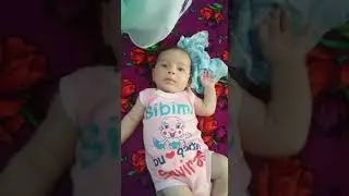 Mulkiya