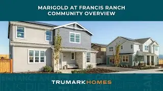 Marigold at Francis Ranch in Dublin, CA | Community Overview