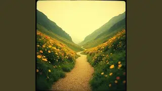In the Field of Grace